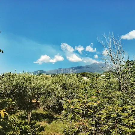 Petralava Etna 3*