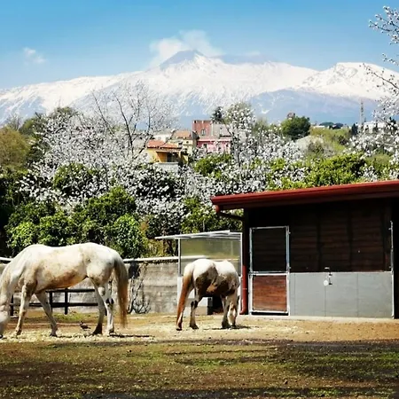 Petralava Etna Bed & Breakfast